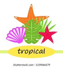starfish shell tropical plant vector background