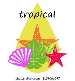 starfish shell tropical plant vector background