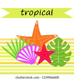 starfish shell tropical plant vector background