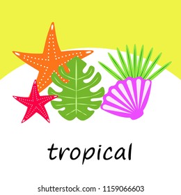 starfish shell tropical plant vector background