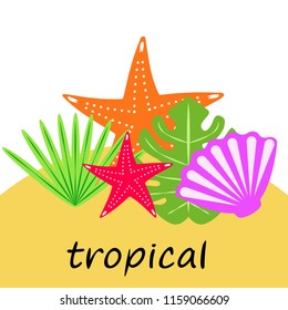 starfish shell tropical plant vector background