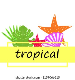 starfish shell tropical plant vector background