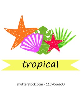 starfish shell tropical plant vector background