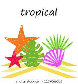 starfish shell tropical plant vector background
