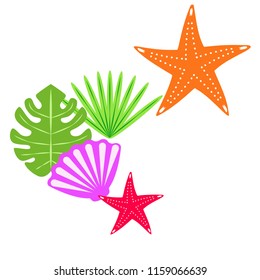 starfish shell tropical plant vector background