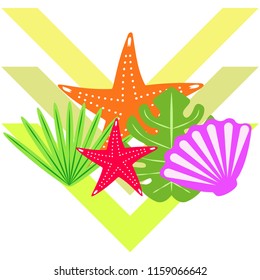 starfish shell tropical plant vector background