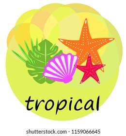 starfish shell tropical plant vector background