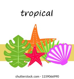 starfish shell tropical plant vector background