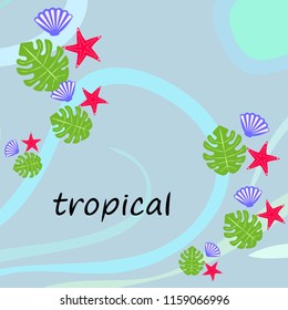 starfish shell tropical plant vector background