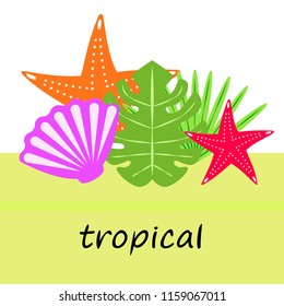 starfish shell tropical plant vector background