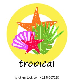 starfish shell tropical plant vector background