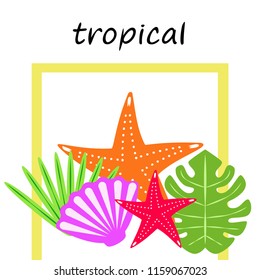 starfish shell tropical plant vector background