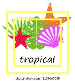 starfish shell tropical plant vector background