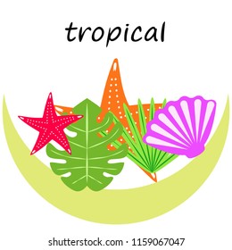 starfish shell tropical plant vector background