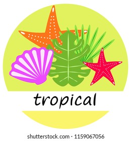 starfish shell tropical plant vector background