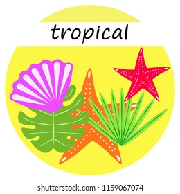 starfish shell tropical plant vector background