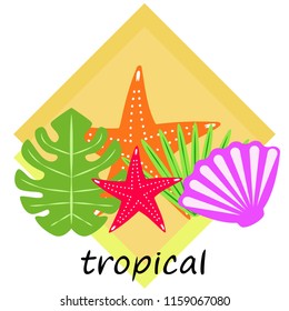starfish shell tropical plant vector background