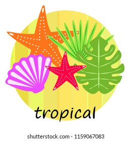 starfish shell tropical plant vector background