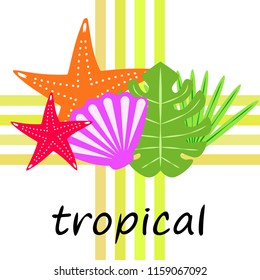 starfish shell tropical plant vector background