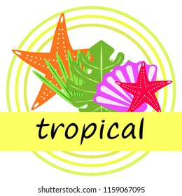 starfish shell tropical plant vector background