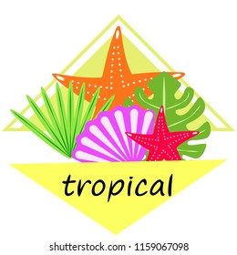 starfish shell tropical plant vector background