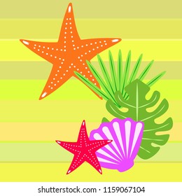 starfish shell tropical plant vector background