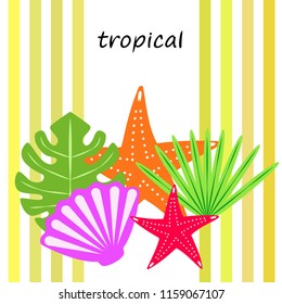starfish shell tropical plant vector background