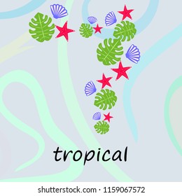 starfish shell tropical plant vector background