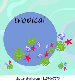 starfish shell tropical plant vector background