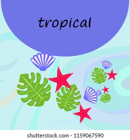 starfish shell tropical plant vector background
