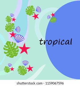 starfish shell tropical plant vector background