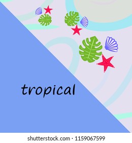 starfish shell tropical plant vector background