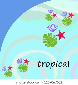 starfish shell tropical plant vector background