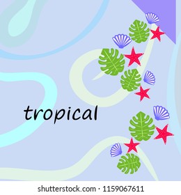 starfish shell tropical plant vector background