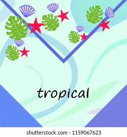 starfish shell tropical plant vector background