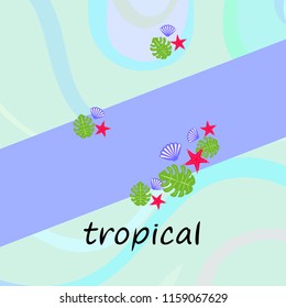 starfish shell tropical plant vector background