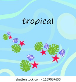 starfish shell tropical plant vector background