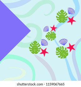 starfish shell tropical plant vector background