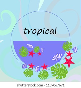 starfish shell tropical plant vector background