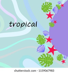 starfish shell tropical plant vector background