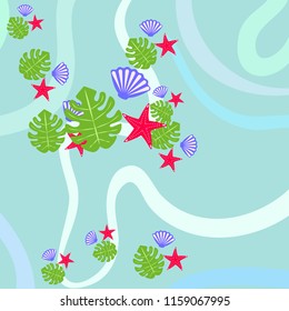 starfish shell tropical plant vector background