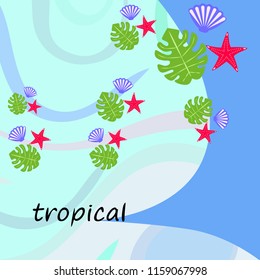 starfish shell tropical plant vector background