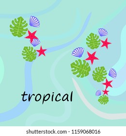 starfish shell tropical plant vector background
