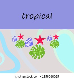 starfish shell tropical plant vector background