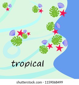 starfish shell tropical plant vector background