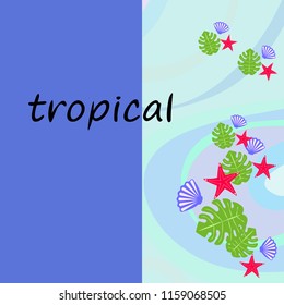 starfish shell tropical plant vector background