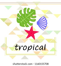 starfish shell tropical plant vector background