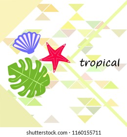 starfish shell tropical plant vector background