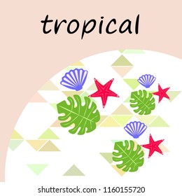 starfish shell tropical plant vector background
