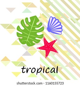 starfish shell tropical plant vector background